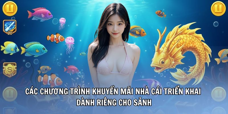 ban-ca-suncity-chuong-trinh-khuyen-mai