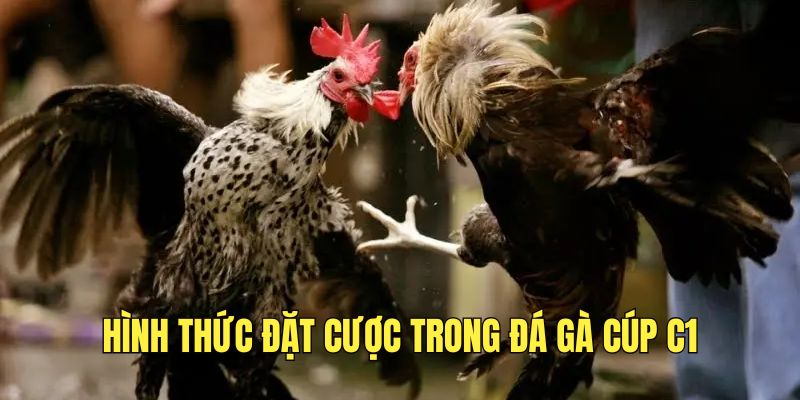 hinh-thuc-dat-cuoc-da-ga-cup-c1