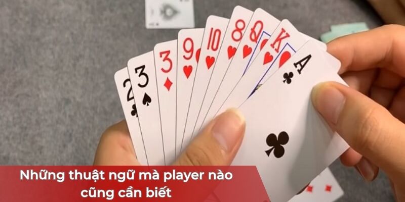 nhung-thuat-ngu-poker-ma-nguoi-choi-can-biet