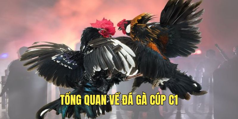 tim-hieu-thong-tin-ve-da-ga-cup-c1