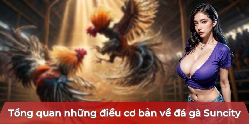 tong-quan-nhung-dieu-co-ban-ve-da-ga-suncity
